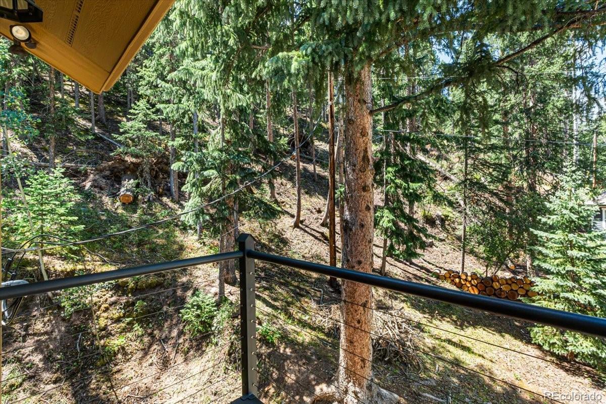 MLS Image #22 for 34038  forest estates road,evergreen, Colorado
