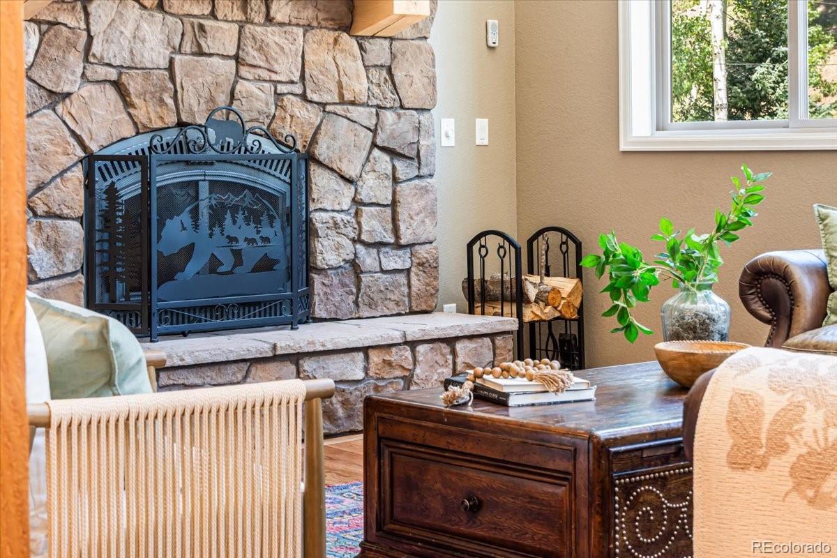 MLS Image #6 for 34038  forest estates road,evergreen, Colorado