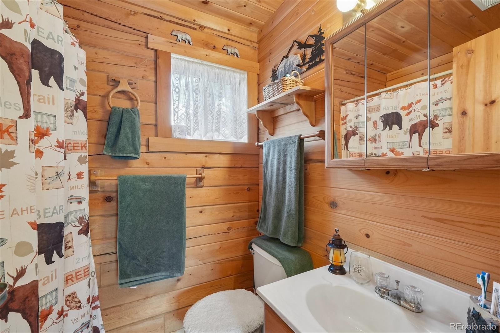 MLS Image #16 for 1600  swiggler road,jefferson, Colorado