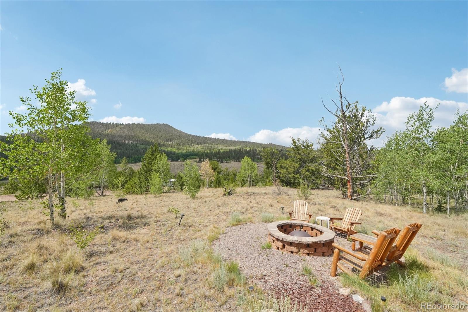 MLS Image #2 for 1600  swiggler road,jefferson, Colorado