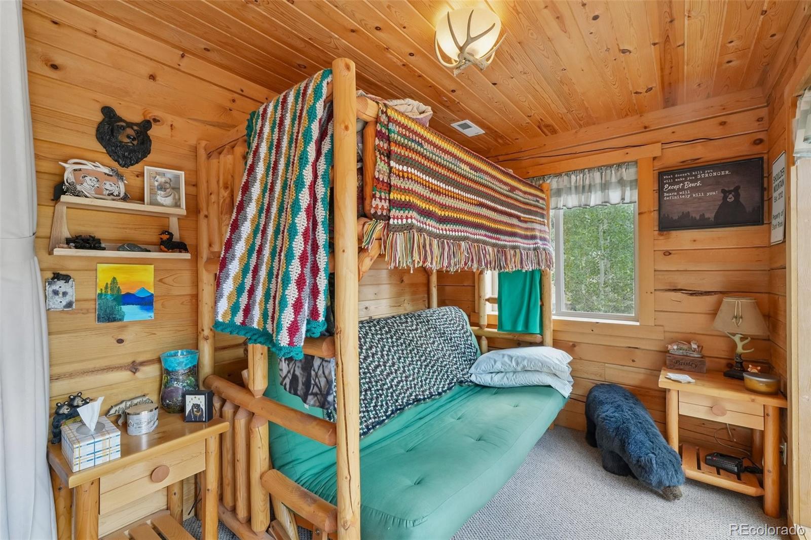 MLS Image #6 for 1600  swiggler road,jefferson, Colorado