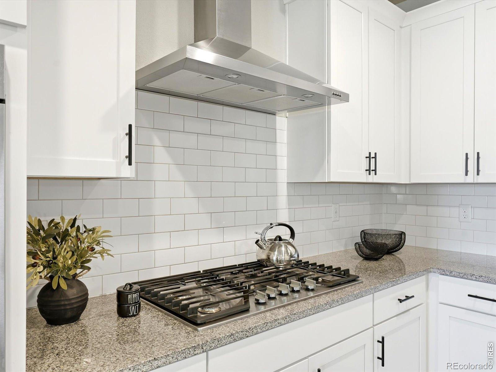 MLS Image #22 for 683  stonebridge drive,longmont, Colorado