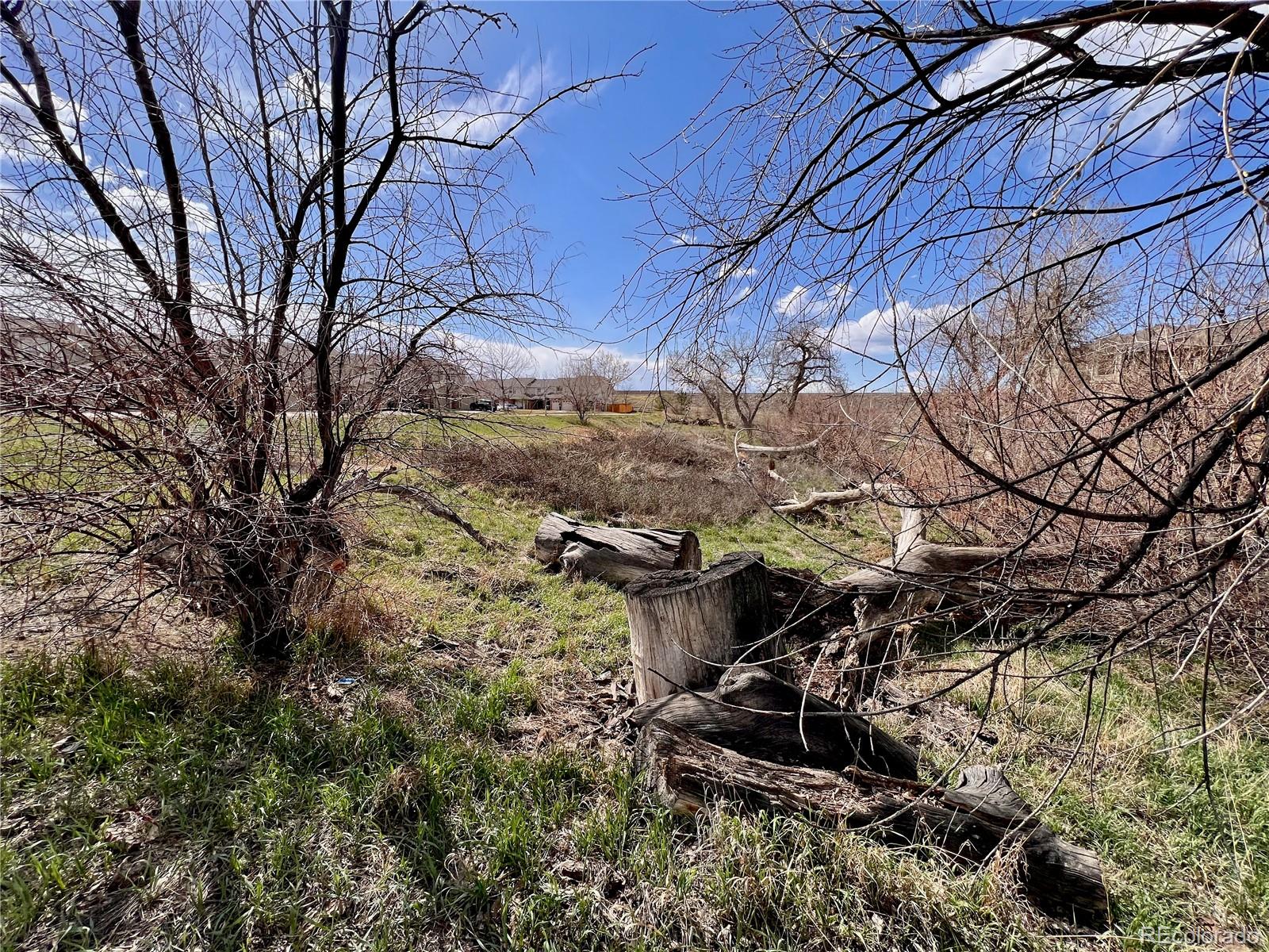 MLS Image #17 for 9311  welby road,denver, Colorado