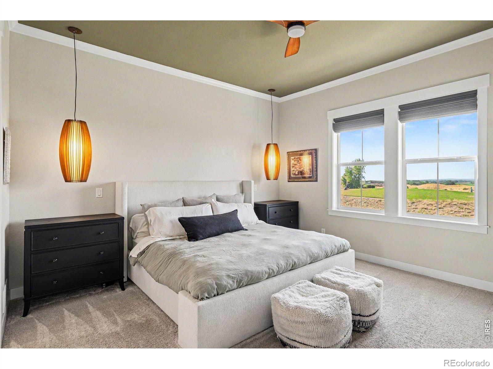 MLS Image #12 for 4328  ardglass lane,timnath, Colorado