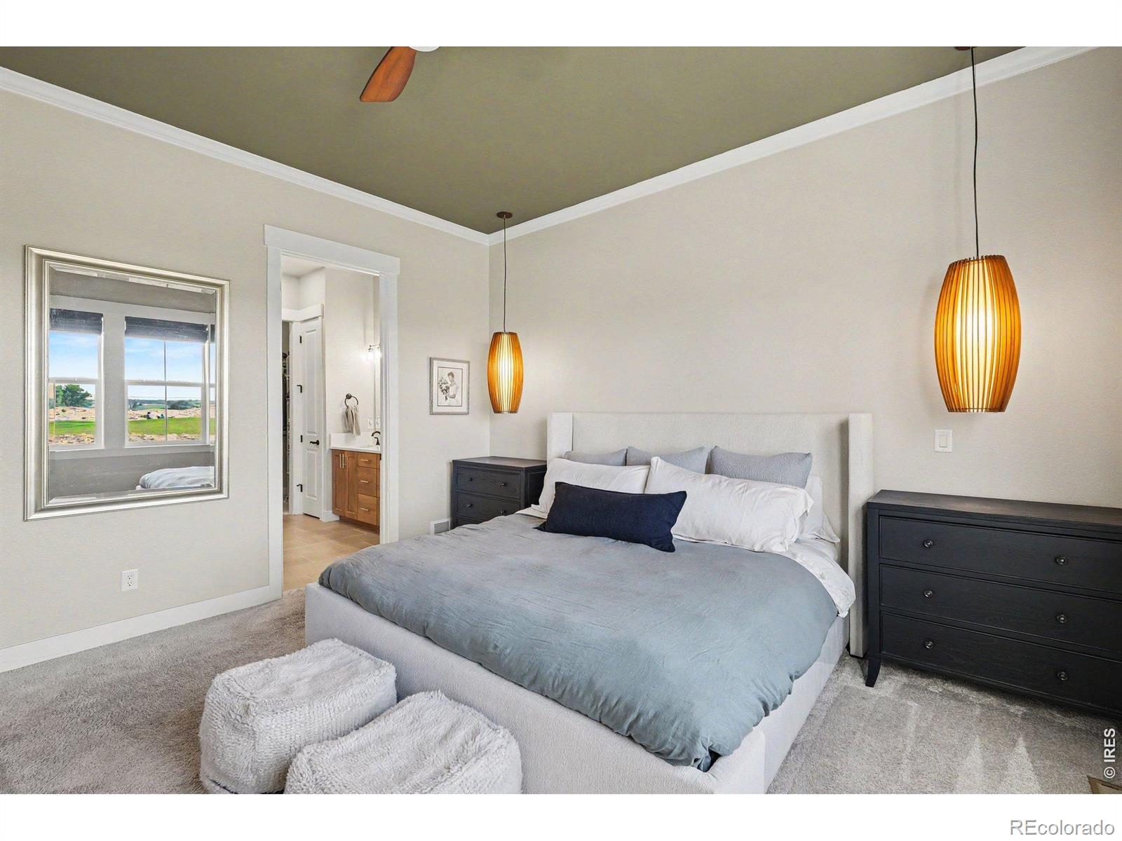 MLS Image #13 for 4328  ardglass lane,timnath, Colorado