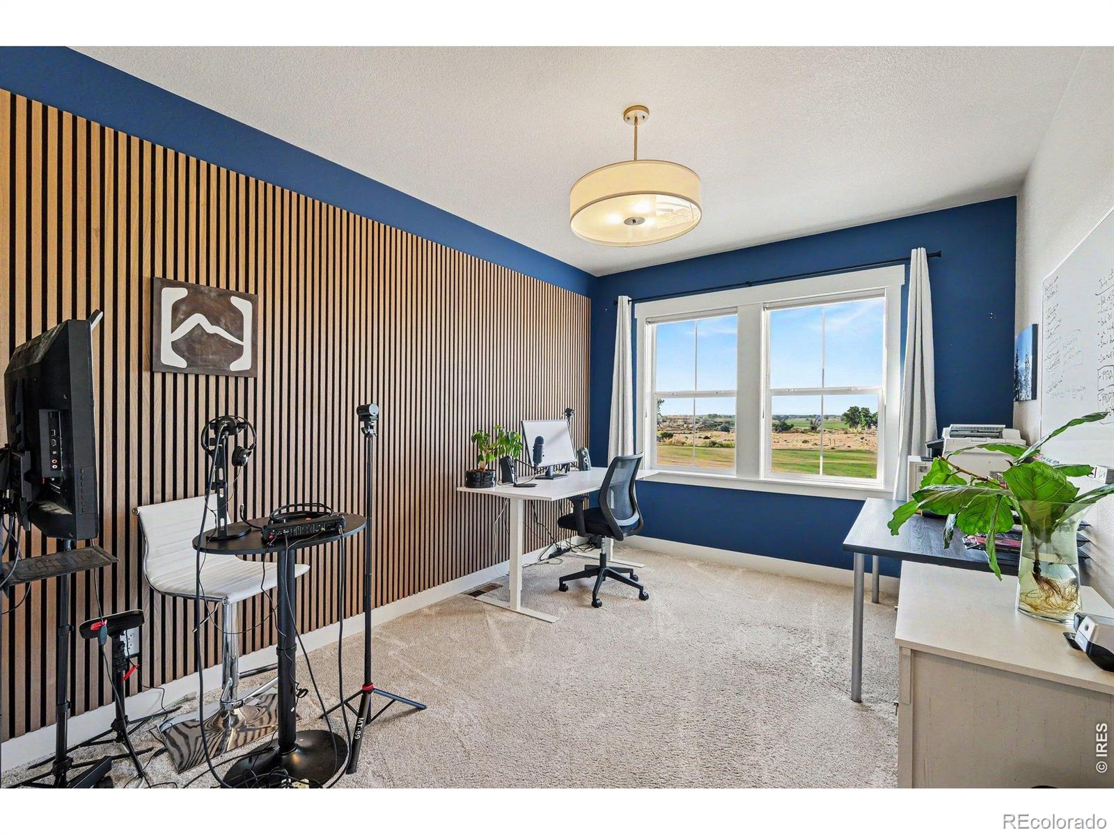 MLS Image #19 for 4328  ardglass lane,timnath, Colorado