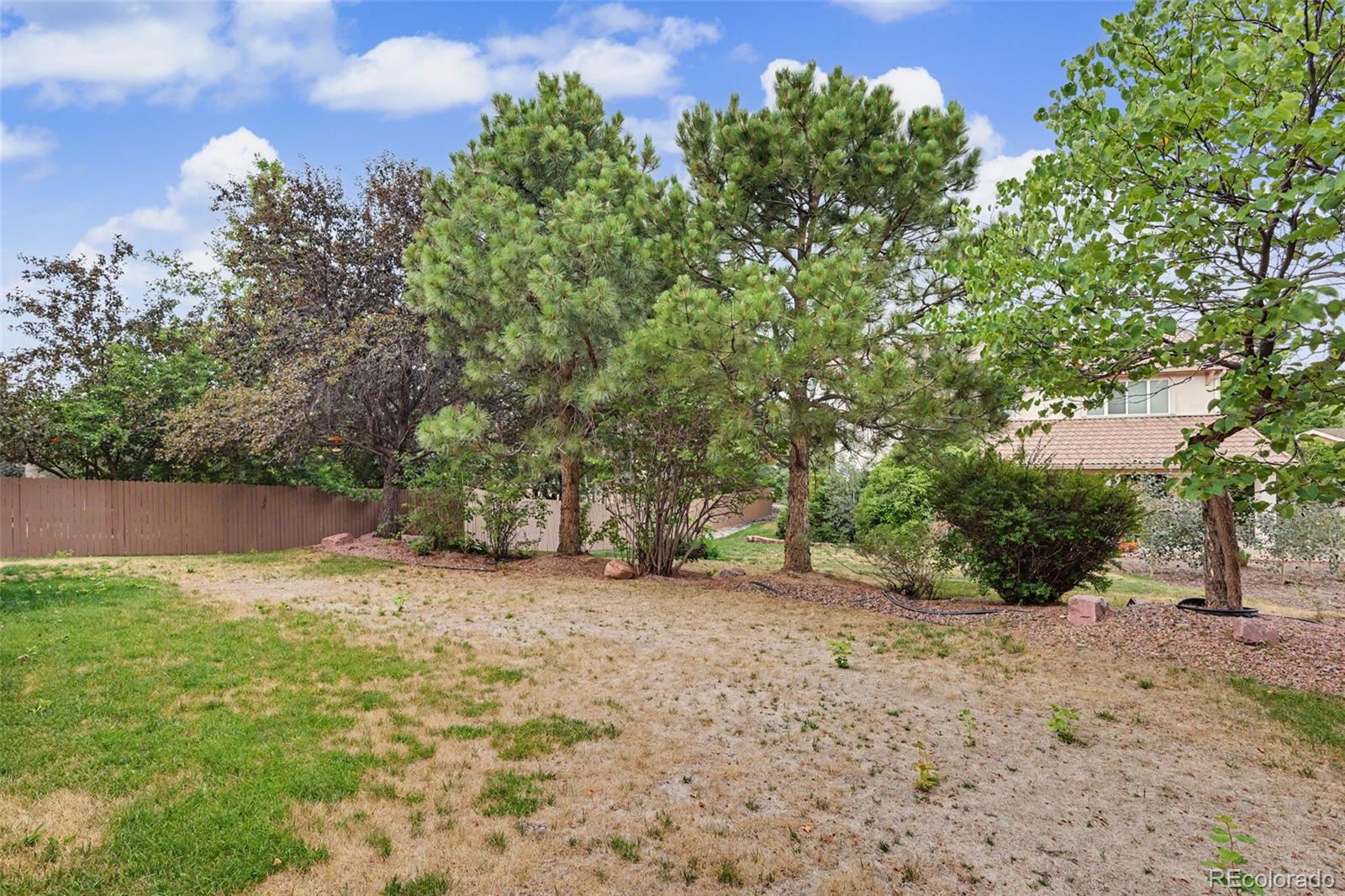 MLS Image #35 for 9630  hollyleaf court,colorado springs, Colorado