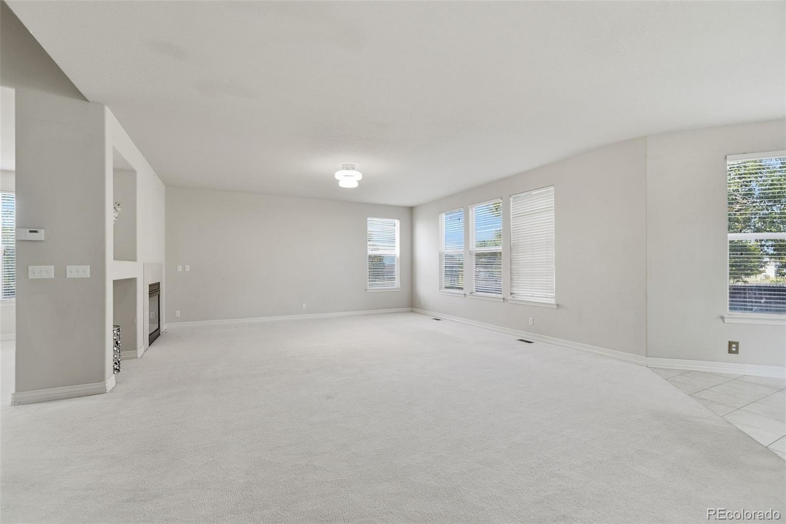 MLS Image #6 for 13701  leyden street,brighton, Colorado