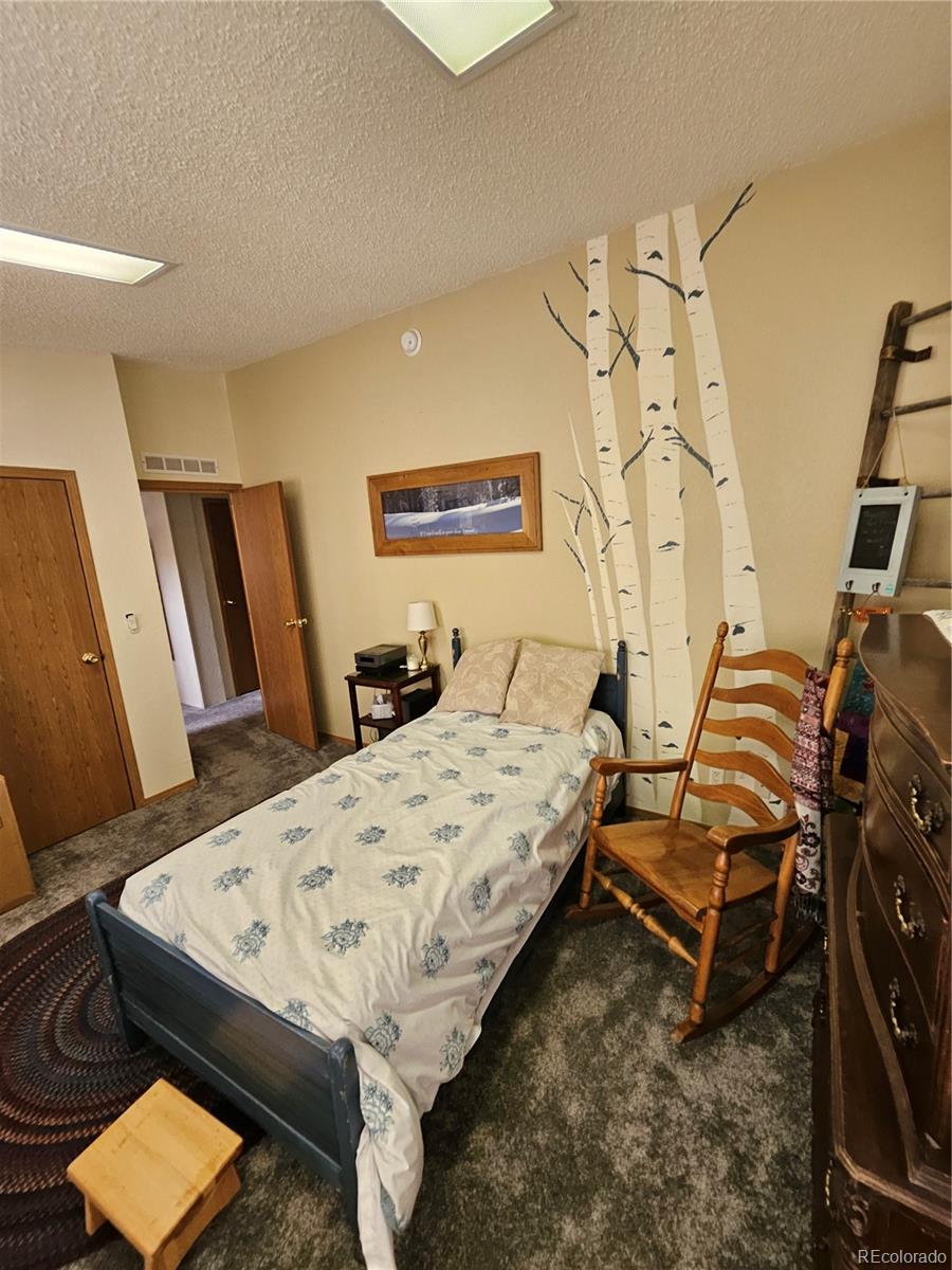 MLS Image #15 for 462  bonell drive,fairplay, Colorado