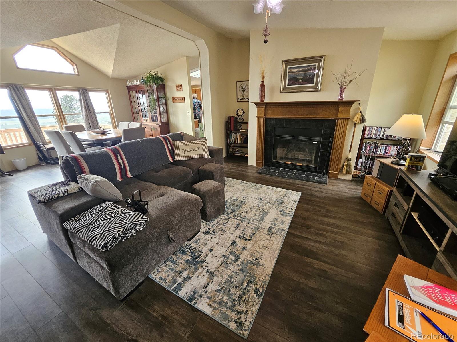 MLS Image #5 for 462  bonell drive,fairplay, Colorado