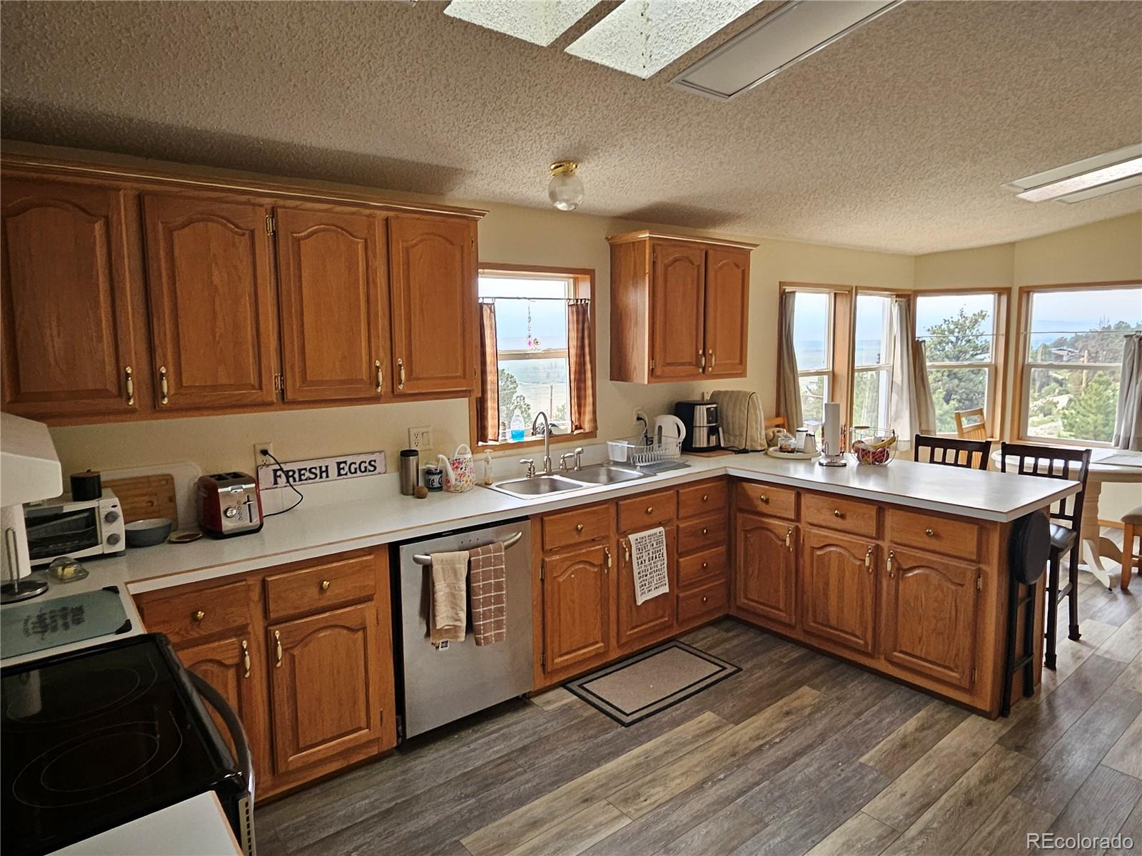 MLS Image #7 for 462  bonell drive,fairplay, Colorado