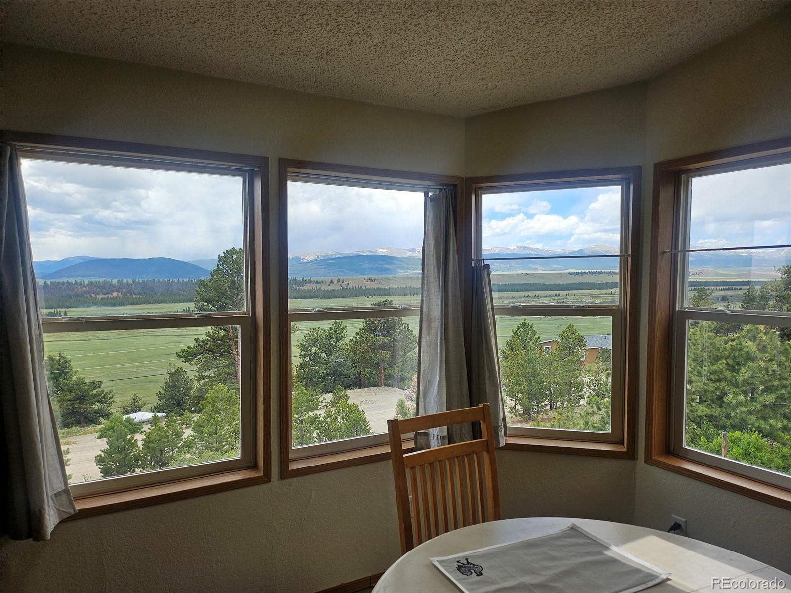 MLS Image #9 for 462  bonell drive,fairplay, Colorado