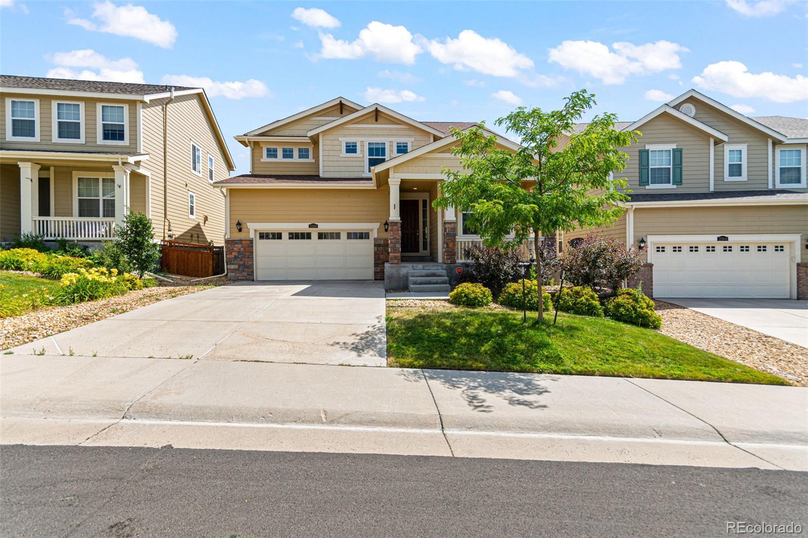 MLS Image #0 for 2580  ambience lane,castle rock, Colorado