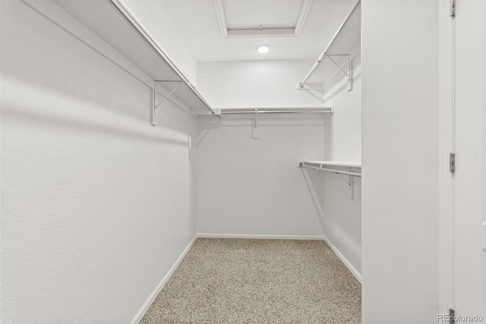 MLS Image #29 for 2580  ambience lane,castle rock, Colorado