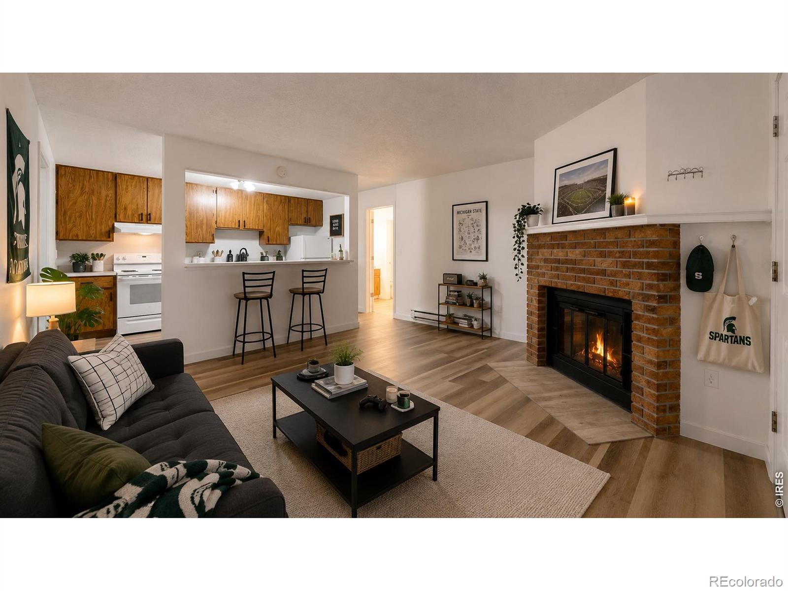 MLS Image #0 for 1118  city park avenue,fort collins, Colorado