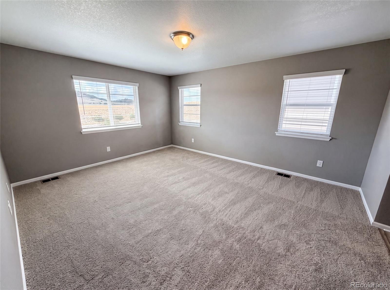 MLS Image #3 for 2450  garganey drive,castle rock, Colorado