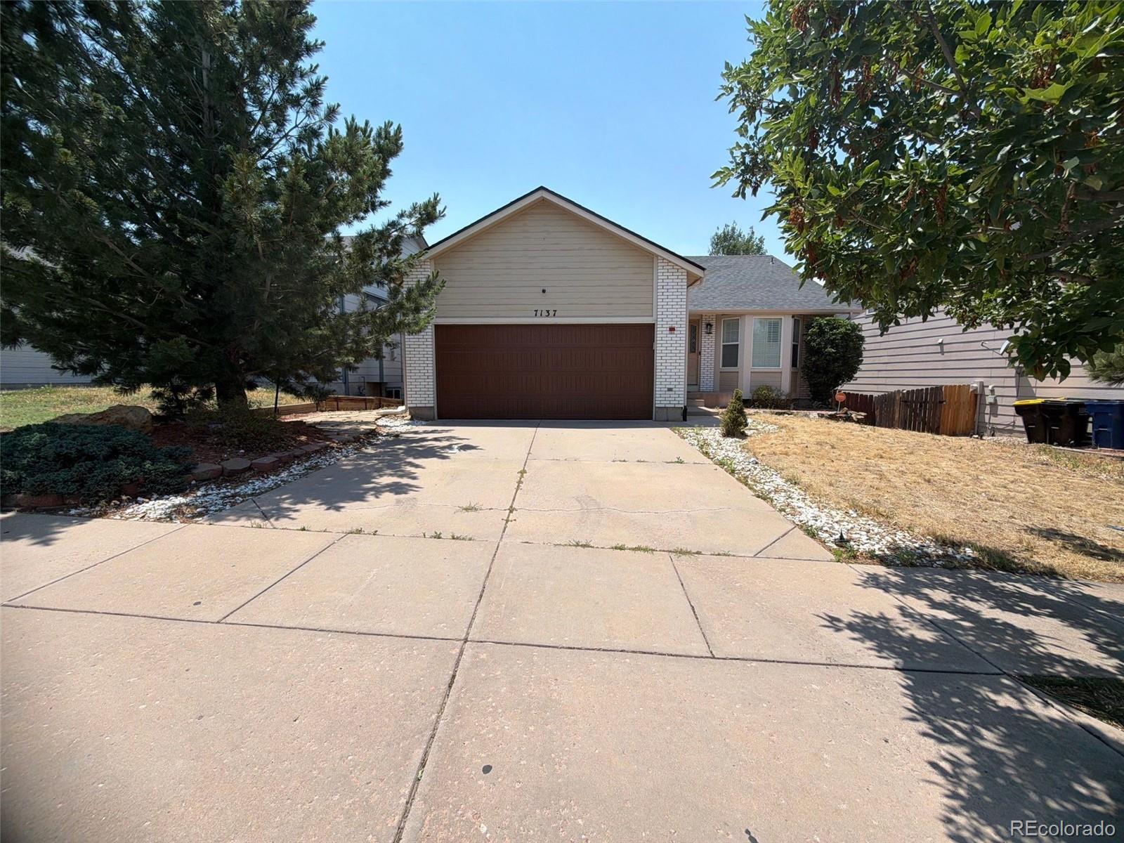 MLS Image #5 for 7137  grand prairie drive,colorado springs, Colorado