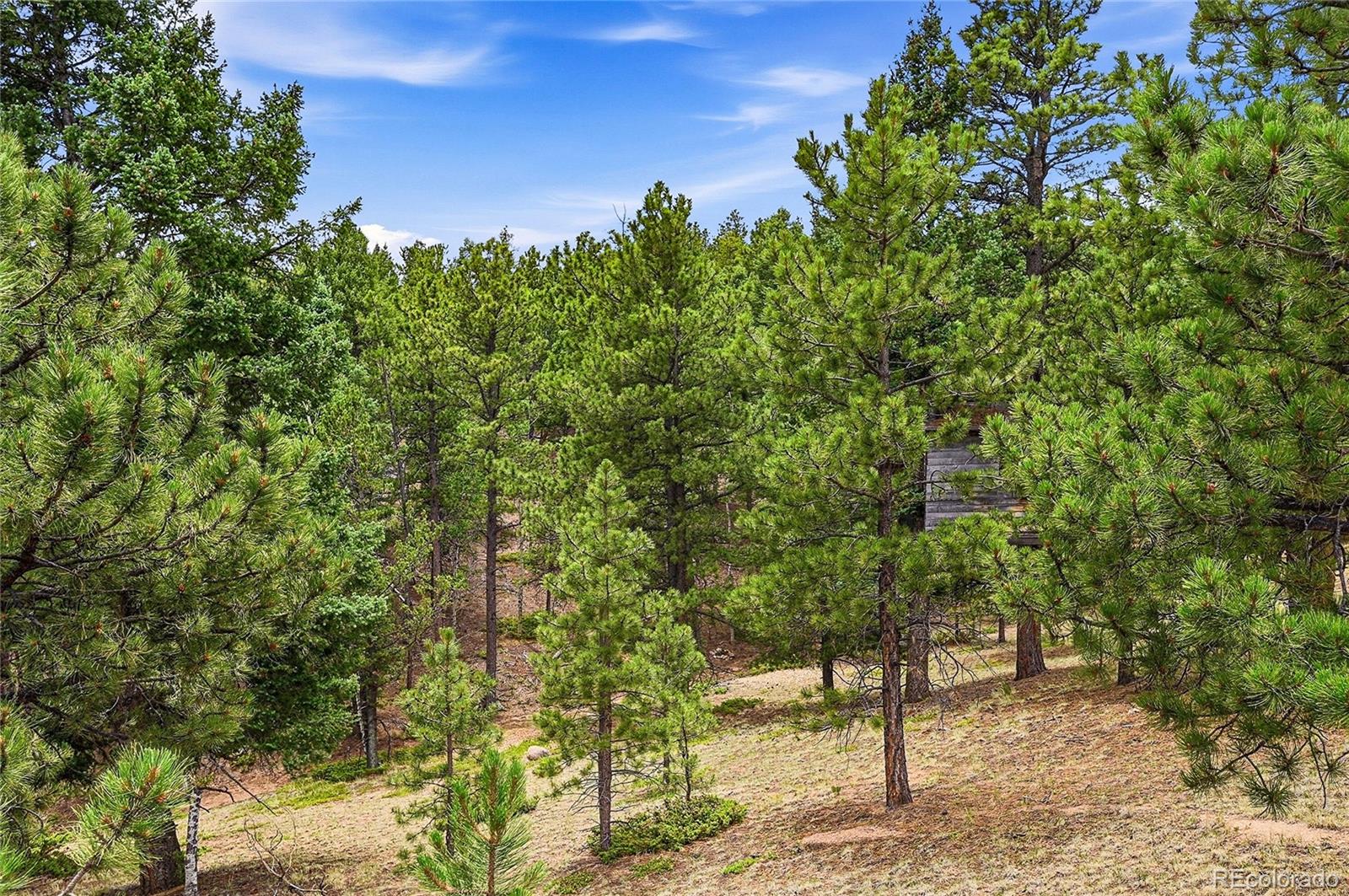 MLS Image #41 for 2130 & 2150  arapahoe street,woodland park, Colorado
