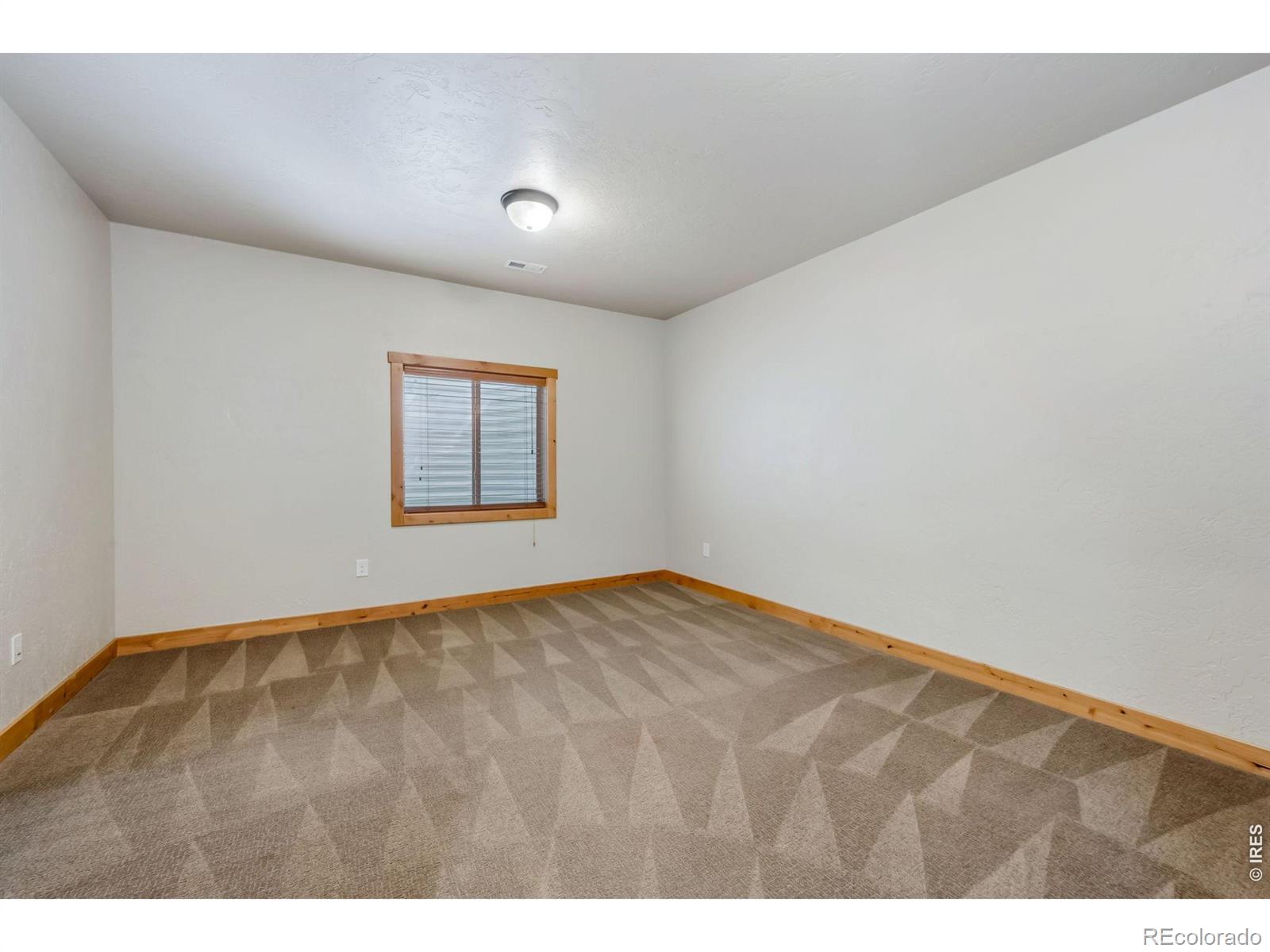 MLS Image #21 for 2984  ariel drive,loveland, Colorado