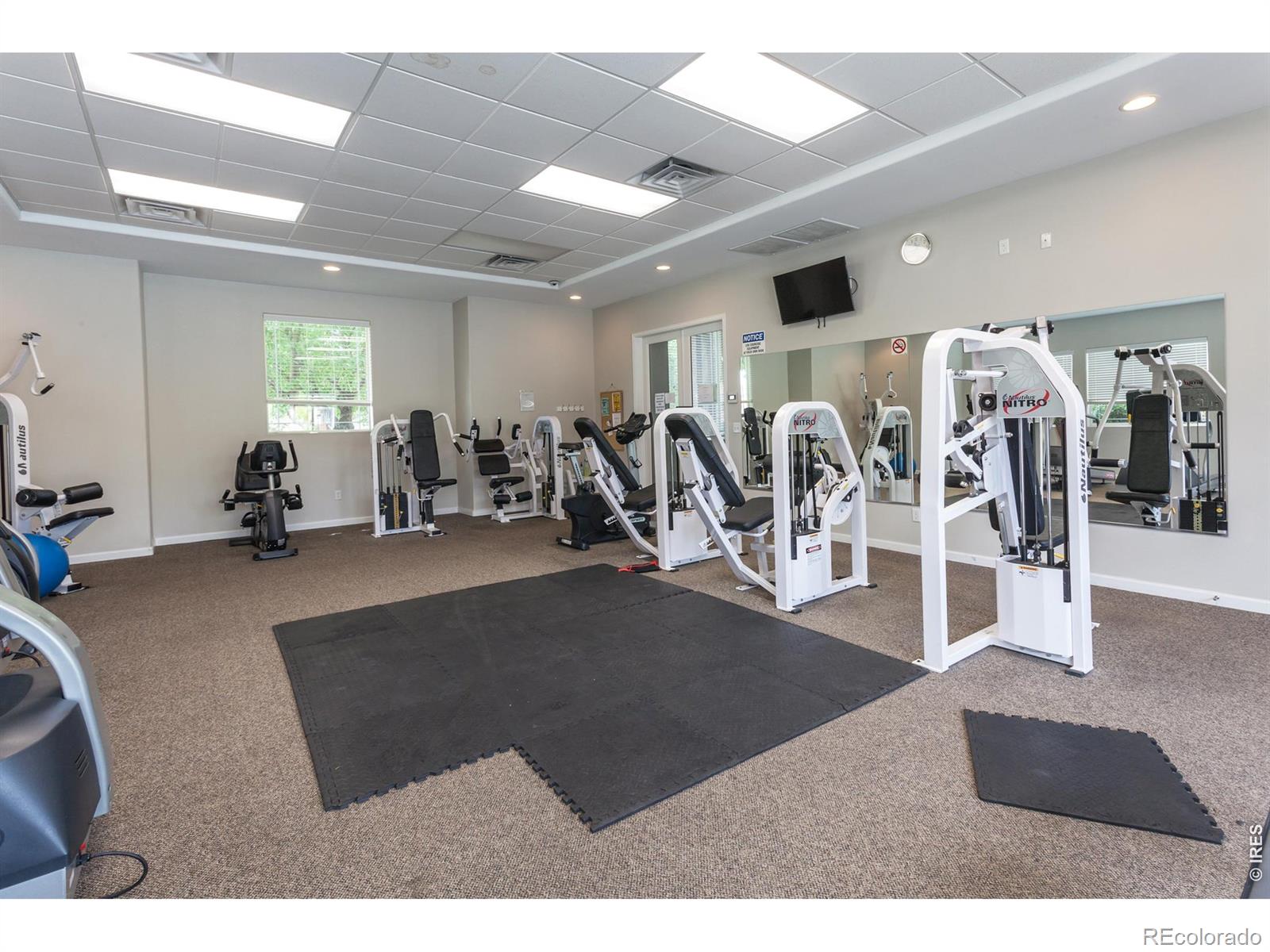 MLS Image #33 for 2984  ariel drive,loveland, Colorado