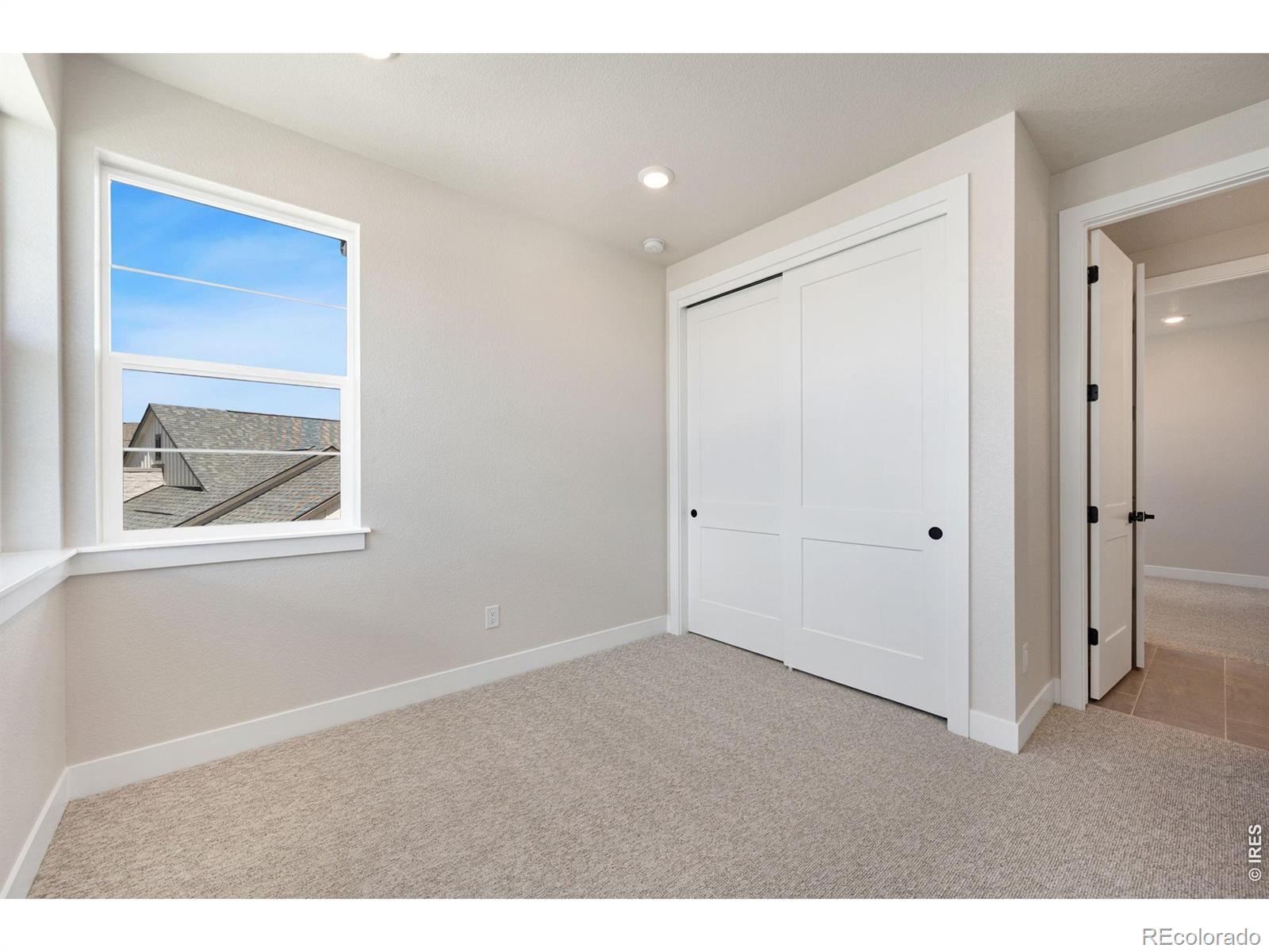 MLS Image #9 for 1380  weller court,timnath, Colorado