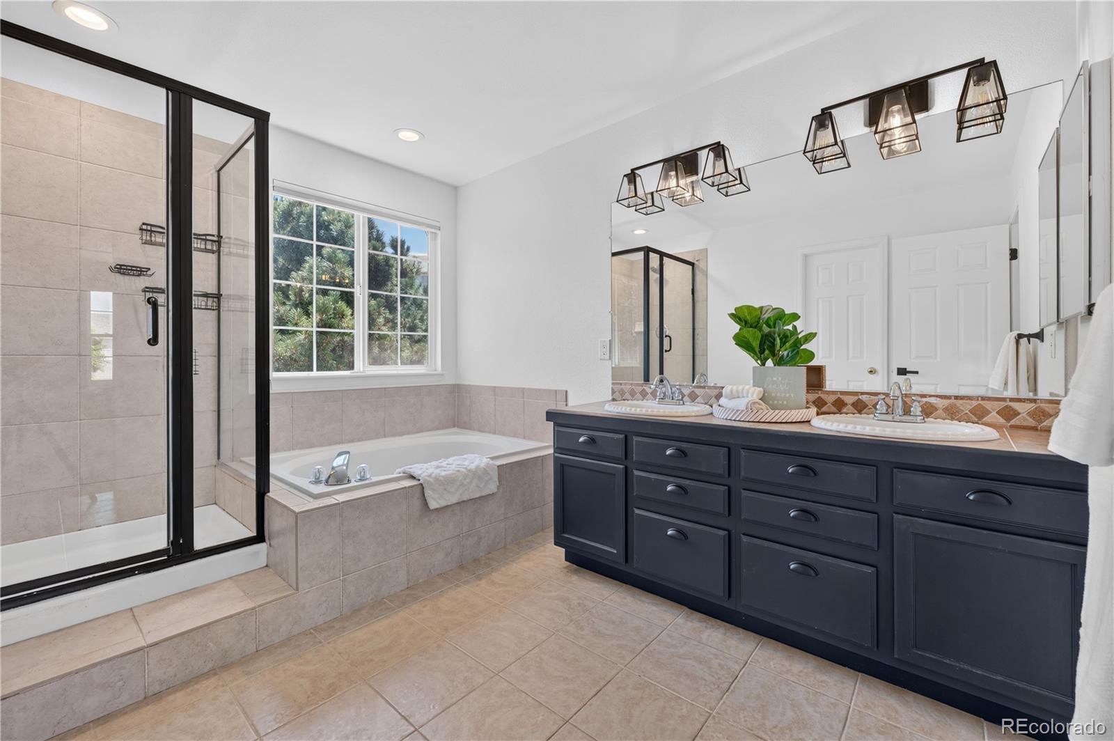 MLS Image #21 for 11792  larkspur drive,parker, Colorado