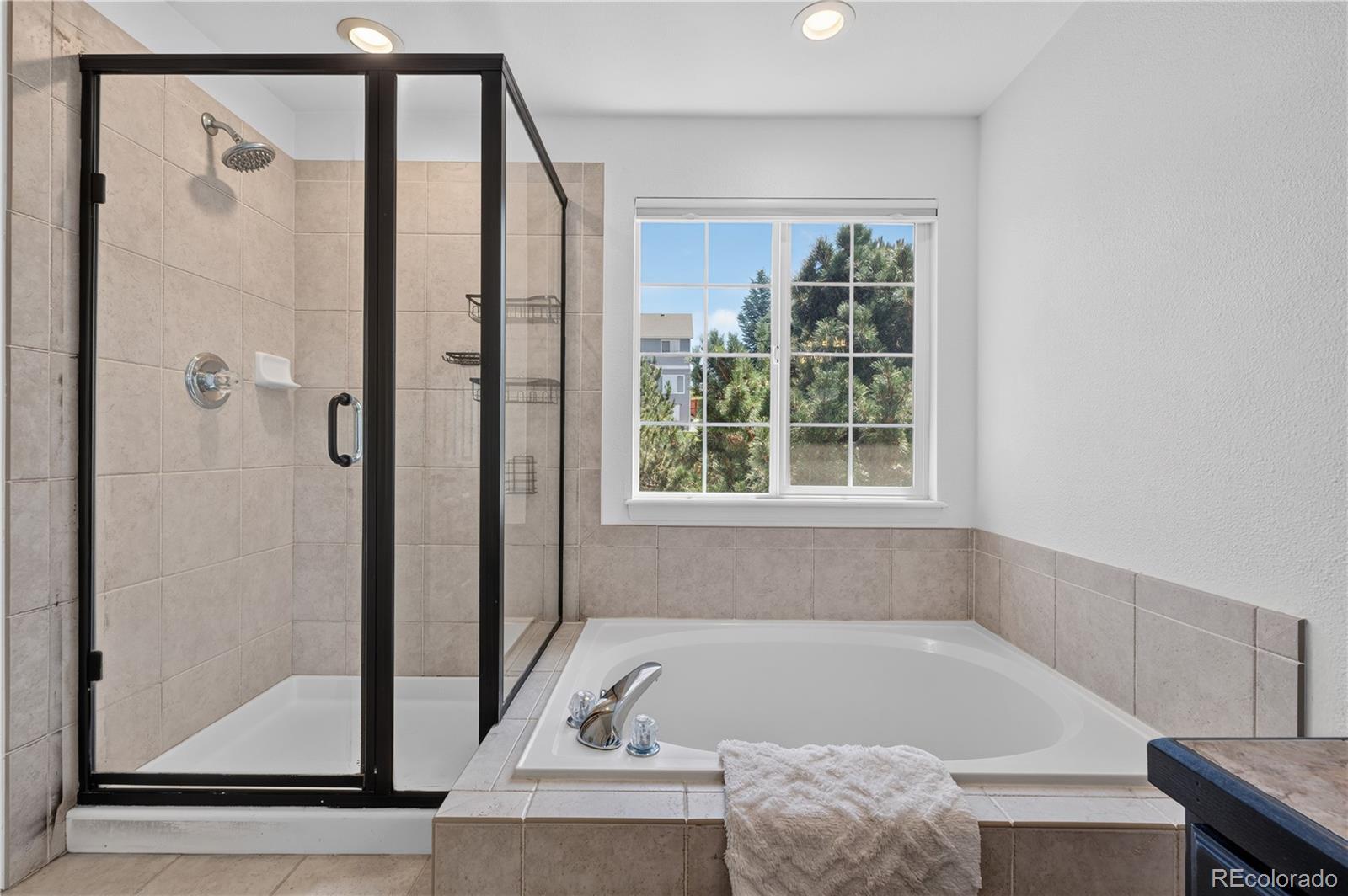 MLS Image #22 for 11792  larkspur drive,parker, Colorado