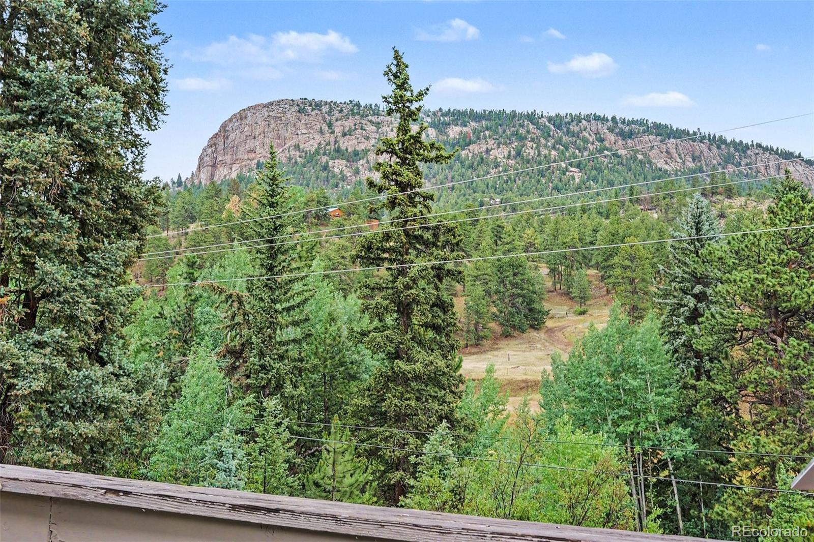 MLS Image #1 for 809  roland drive,bailey, Colorado