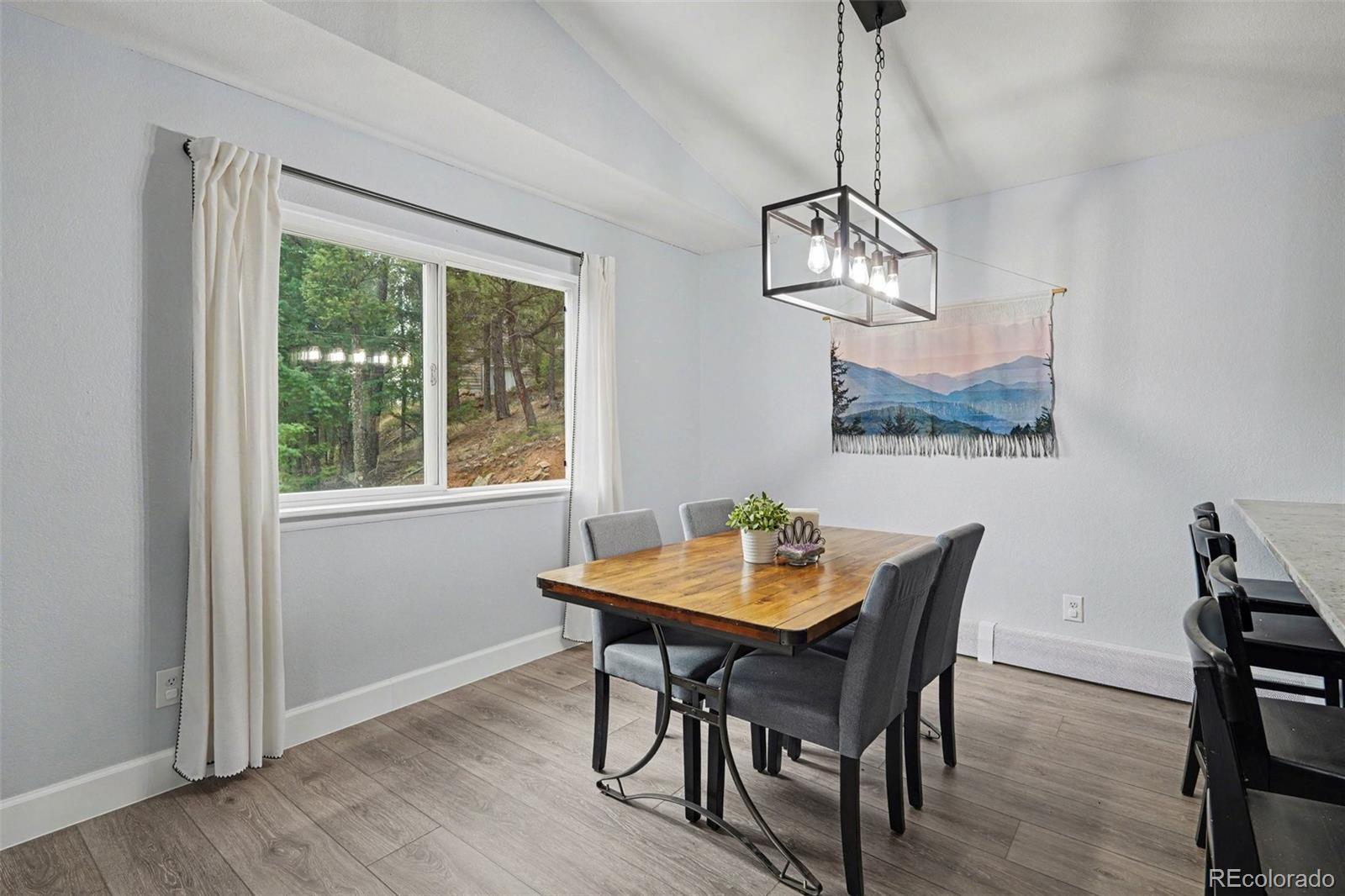 MLS Image #12 for 809  roland drive,bailey, Colorado