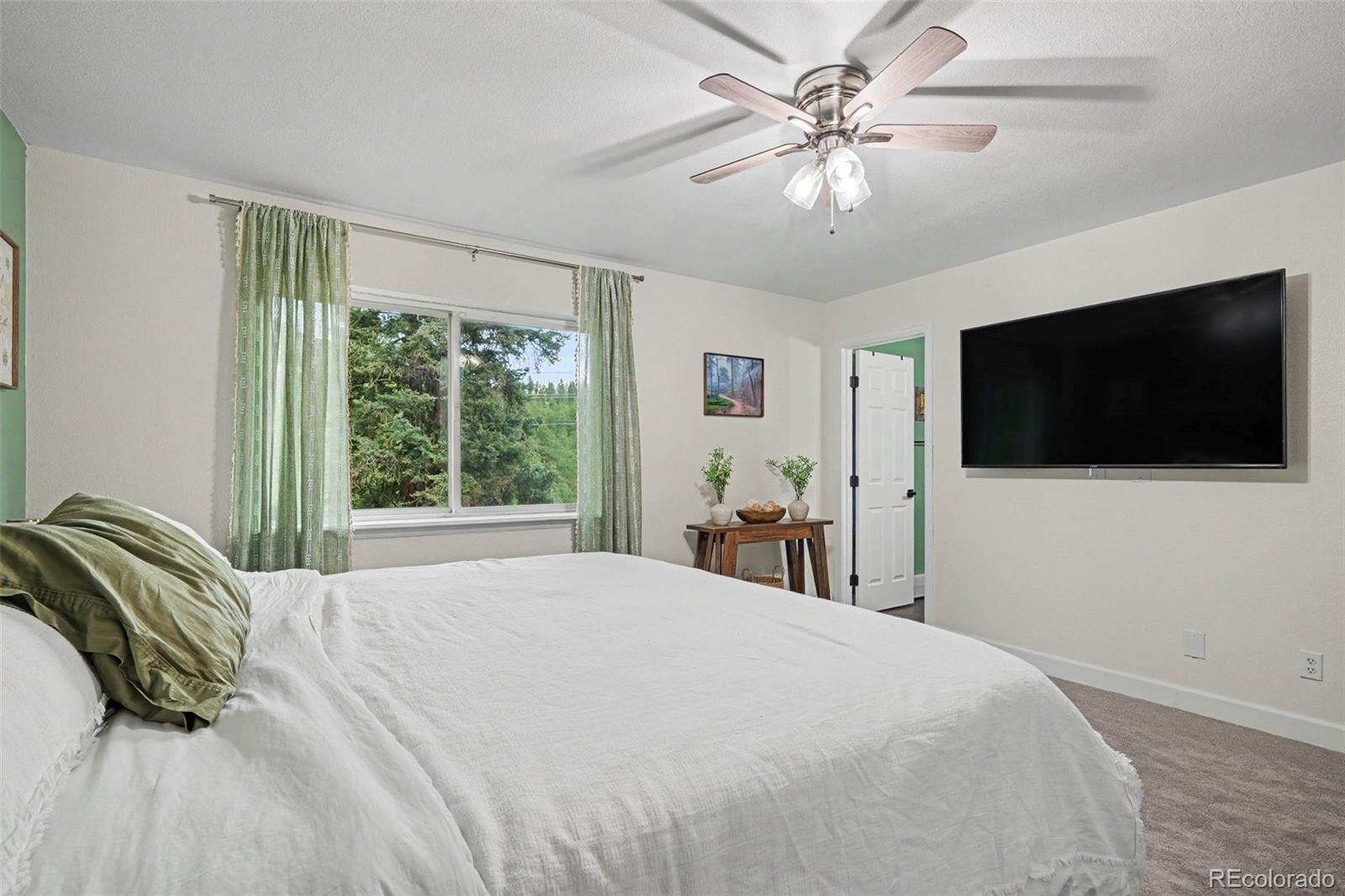 MLS Image #14 for 809  roland drive,bailey, Colorado