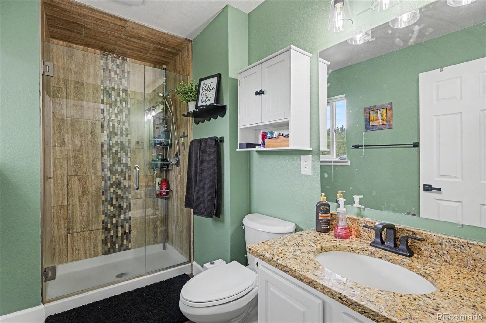 MLS Image #15 for 809  roland drive,bailey, Colorado