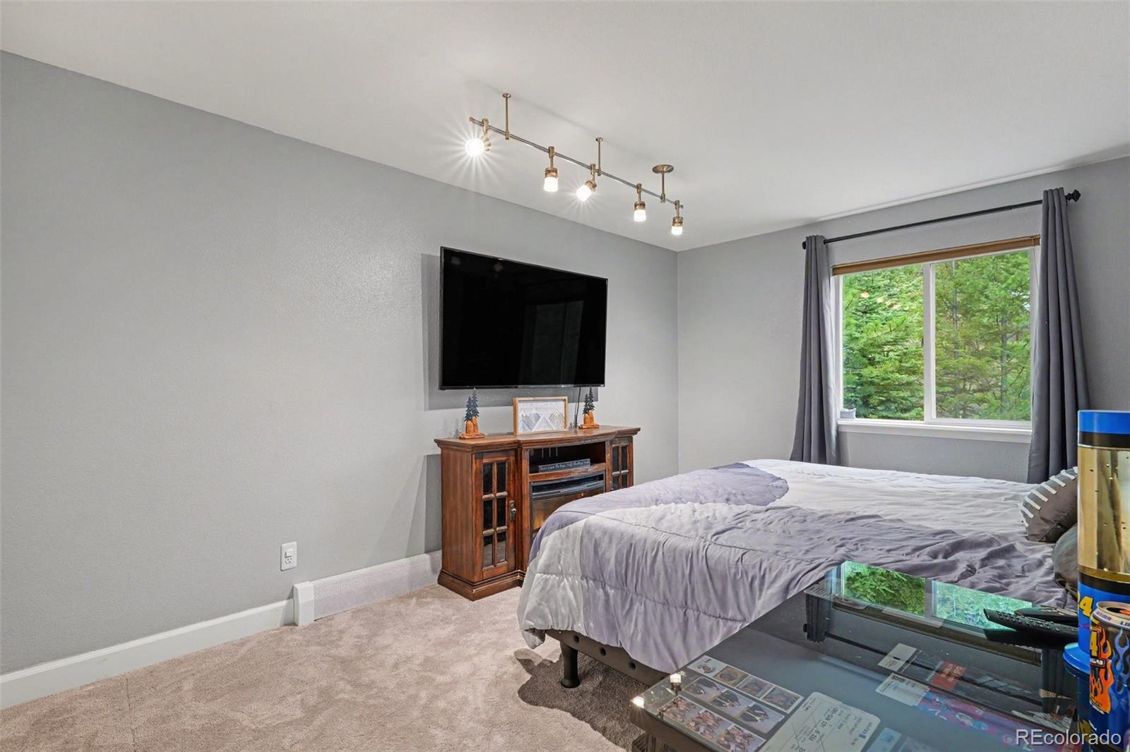 MLS Image #16 for 809  roland drive,bailey, Colorado