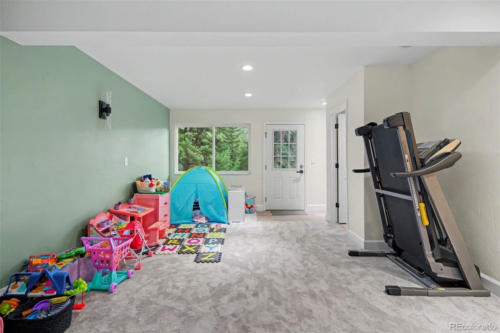 MLS Image #19 for 809  roland drive,bailey, Colorado