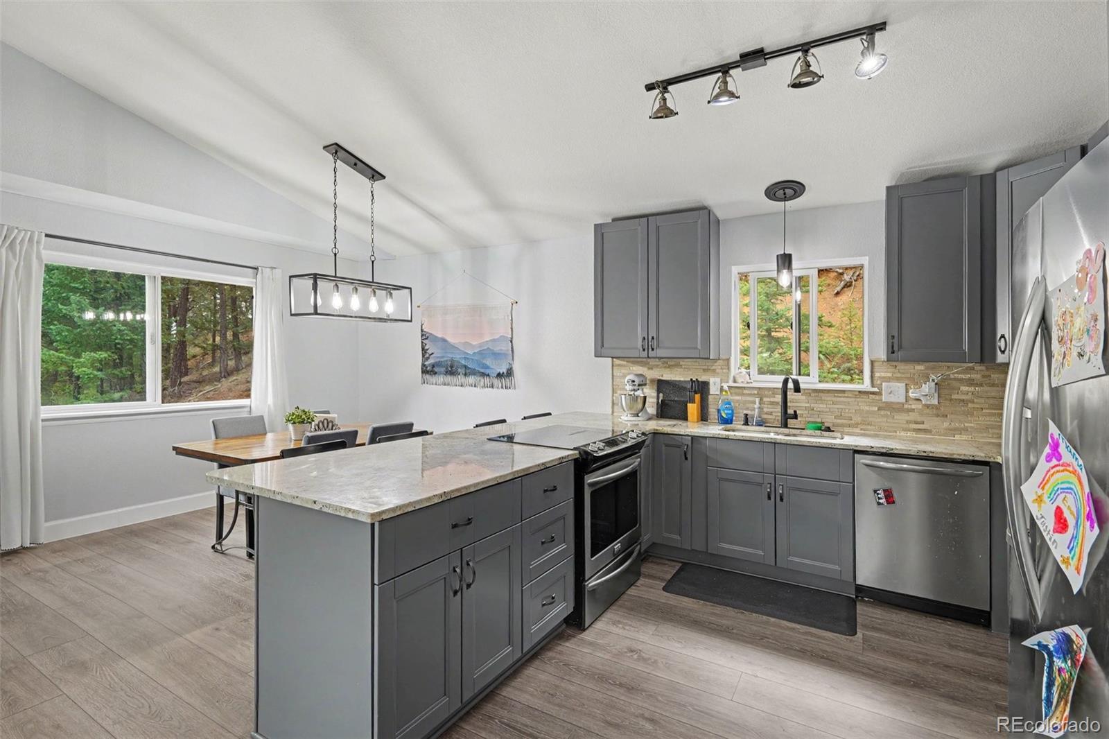 MLS Image #9 for 809  roland drive,bailey, Colorado