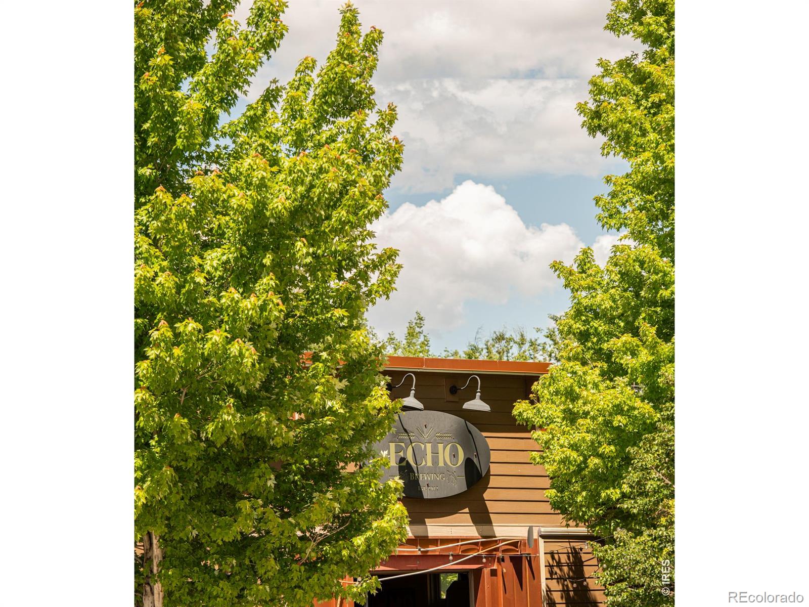 MLS Image #41 for 729  gold hill drive,erie, Colorado