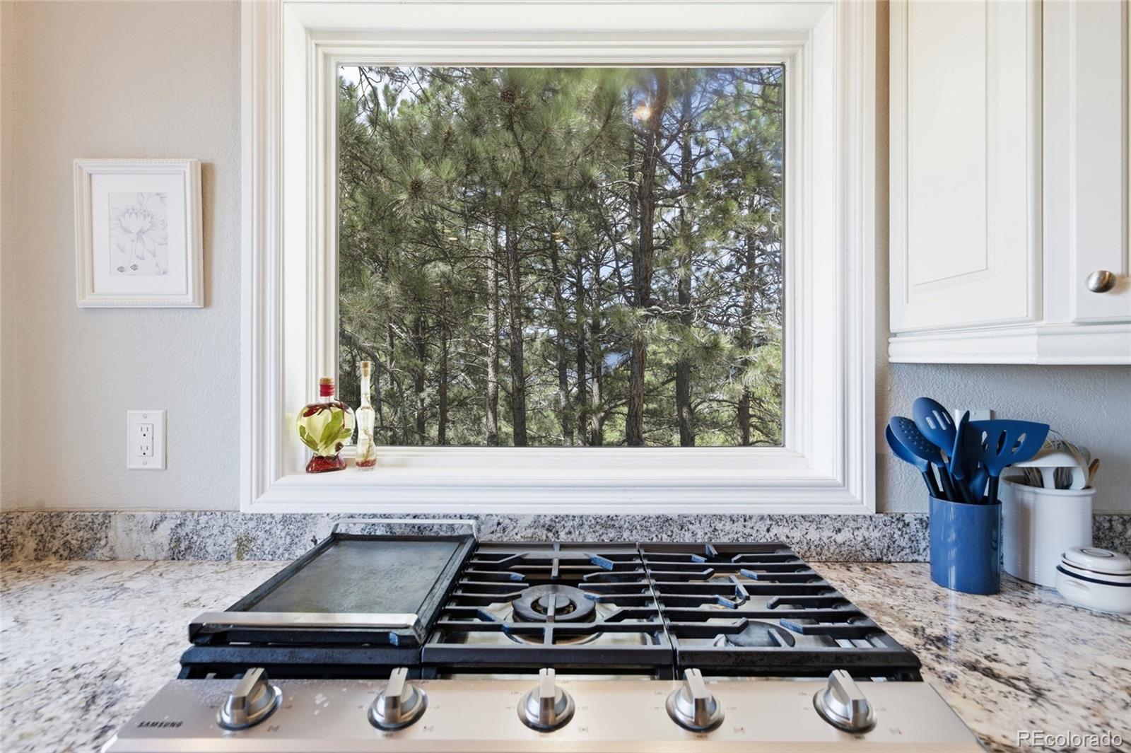 MLS Image #12 for 17215  fairplay drive,monument, Colorado