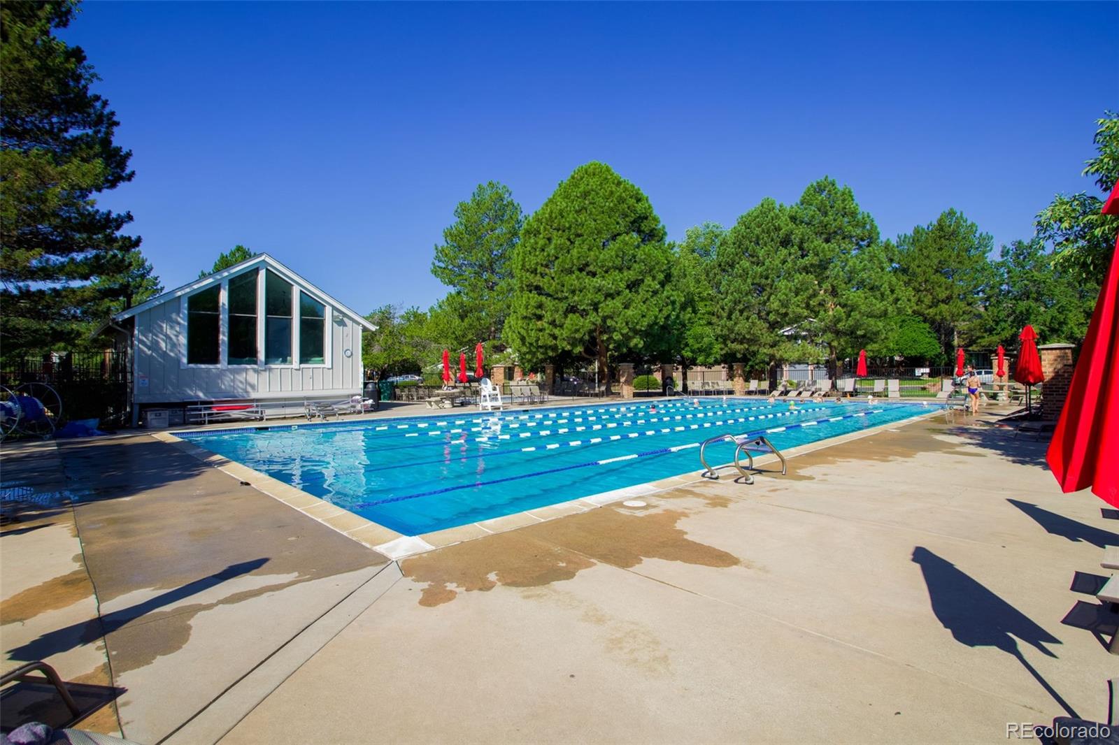 MLS Image #47 for 8170  cody court,arvada, Colorado