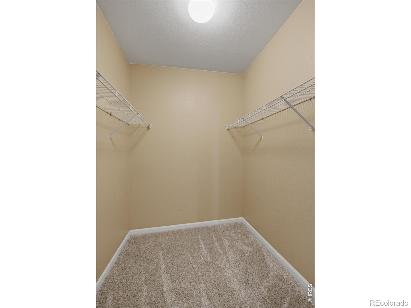 MLS Image #18 for 1030  opal street,broomfield, Colorado
