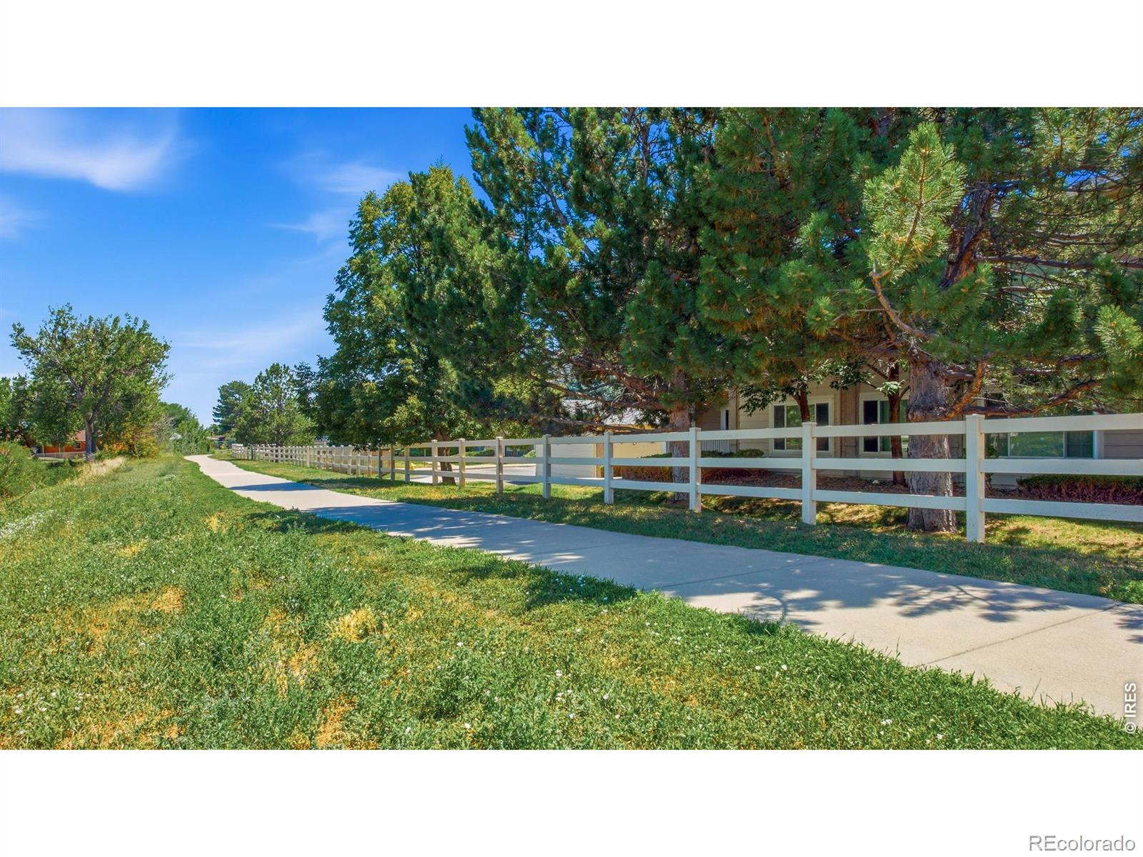 MLS Image #26 for 1030  opal street,broomfield, Colorado