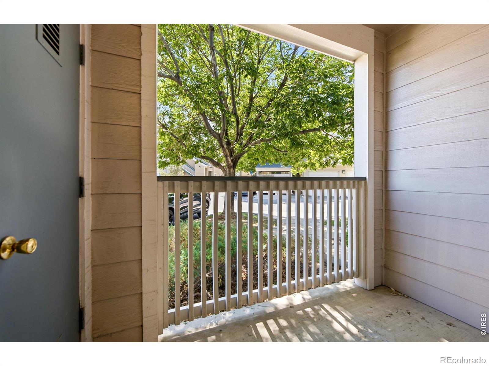 MLS Image #5 for 1030  opal street,broomfield, Colorado