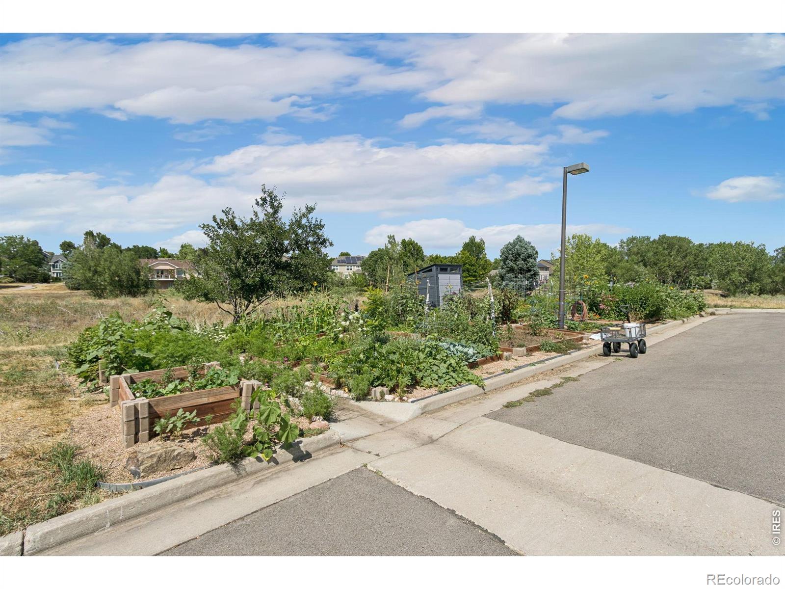 MLS Image #25 for 5620  fossil creek parkway,fort collins, Colorado