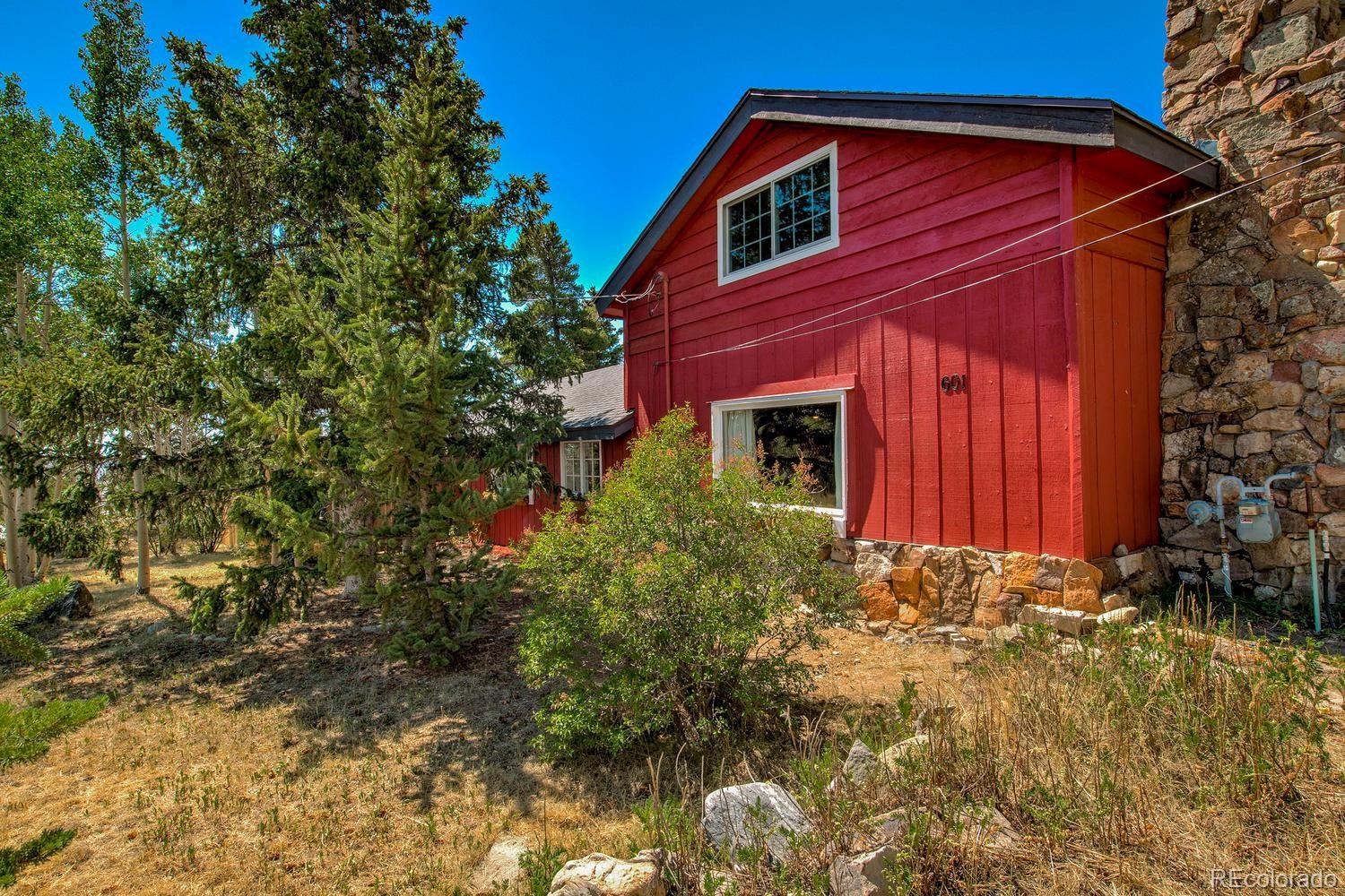 MLS Image #10 for 601  bogue street,fairplay, Colorado