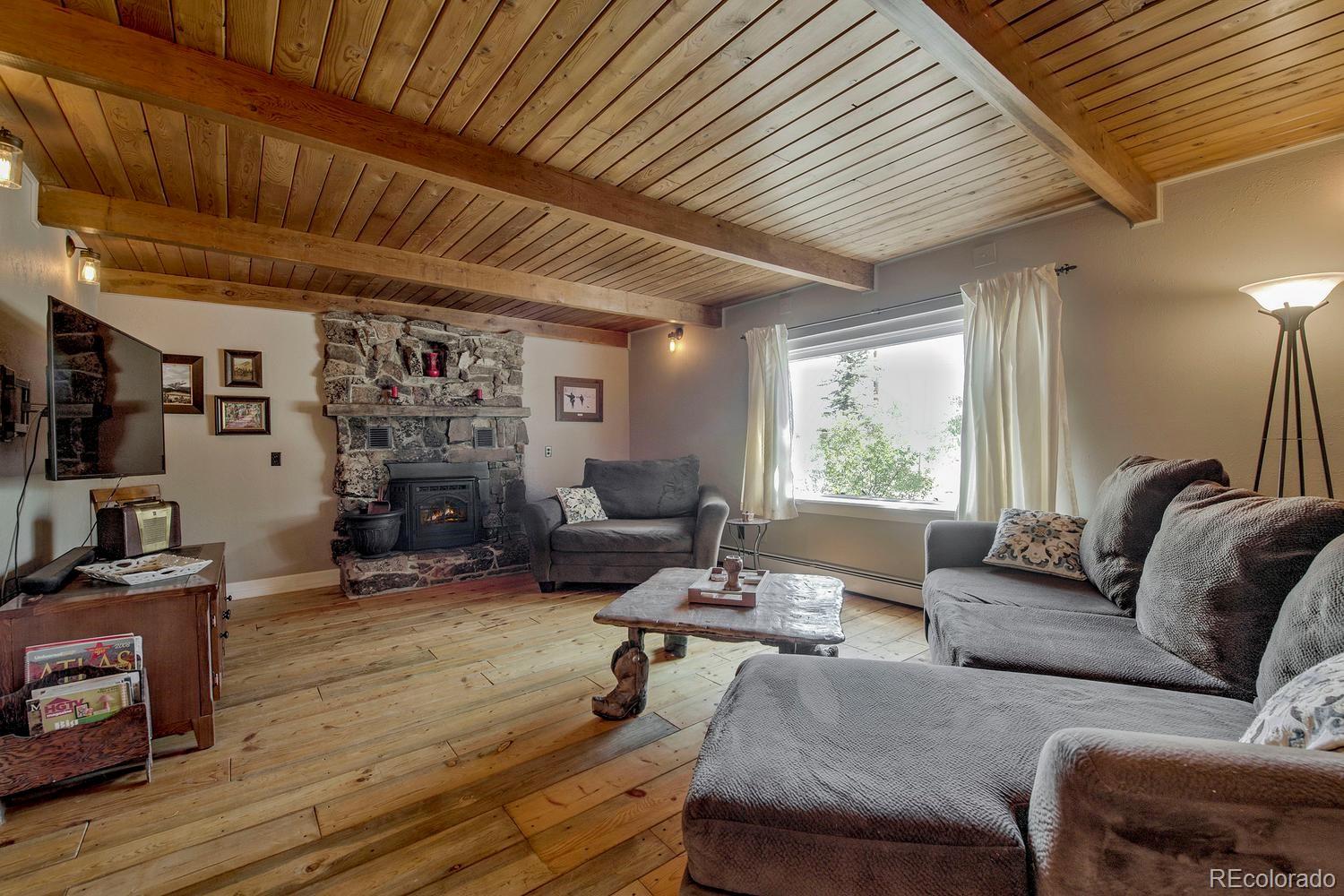 MLS Image #12 for 601  bogue street,fairplay, Colorado