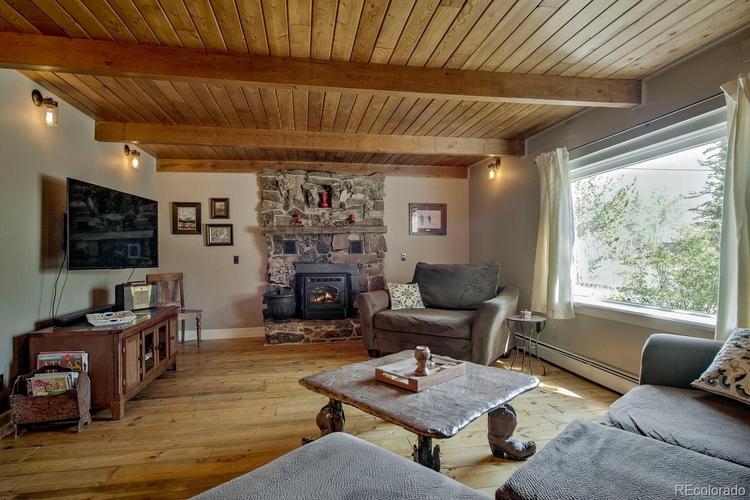 MLS Image #15 for 601  bogue street,fairplay, Colorado