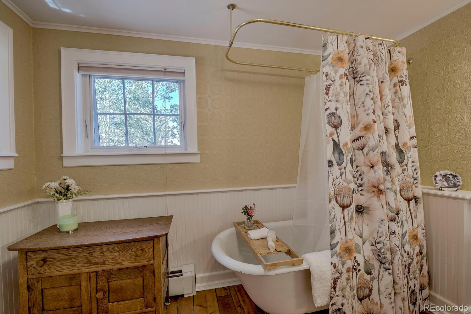 MLS Image #24 for 601  bogue street,fairplay, Colorado