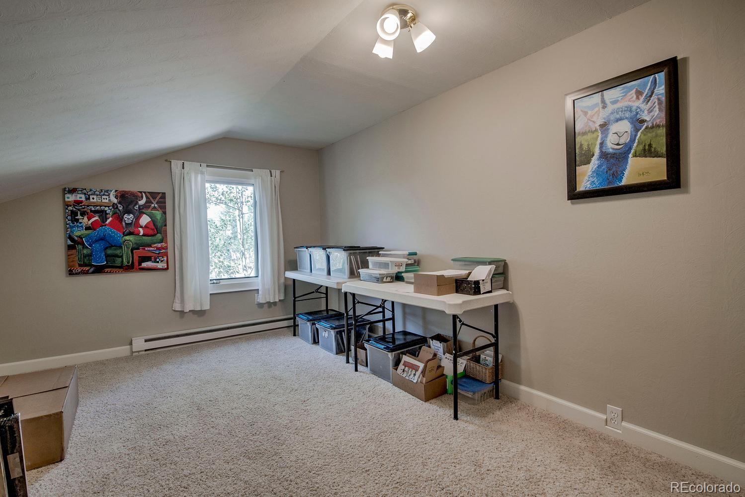 MLS Image #41 for 601  bogue street,fairplay, Colorado