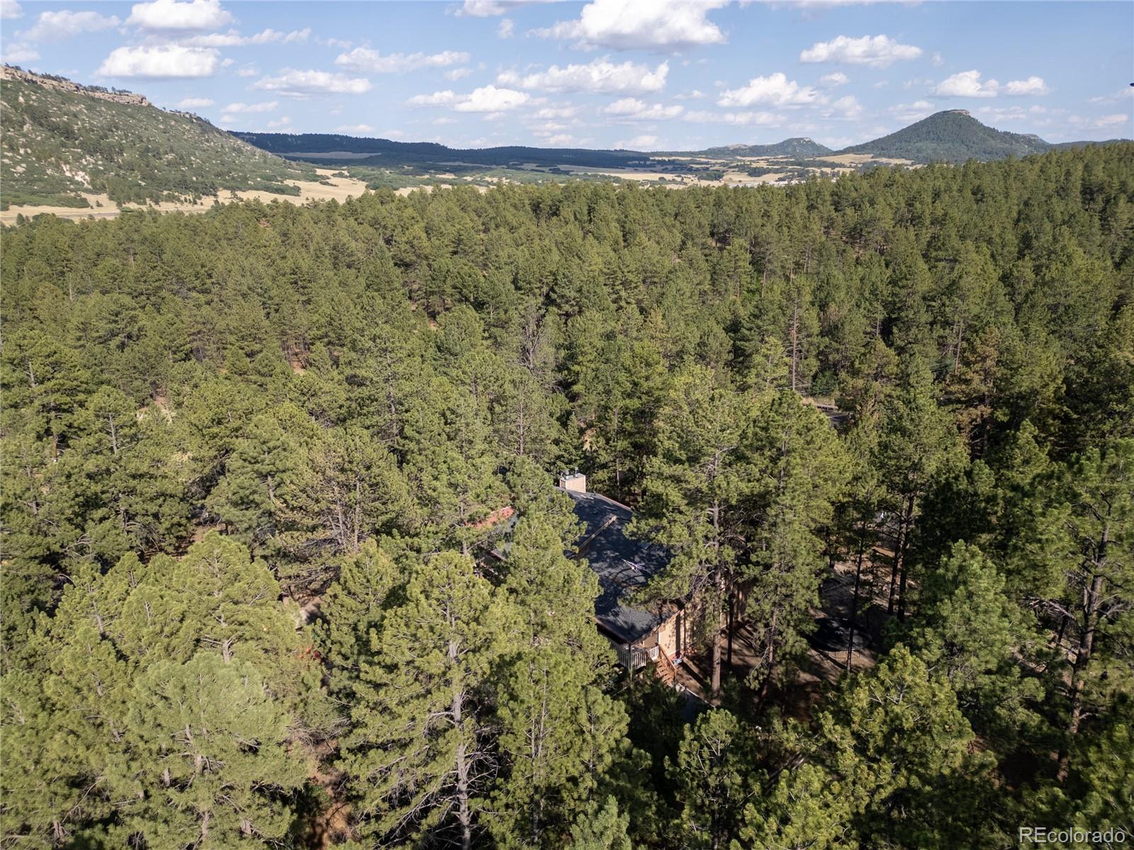 MLS Image #38 for 545  tenderfoot drive,larkspur, Colorado