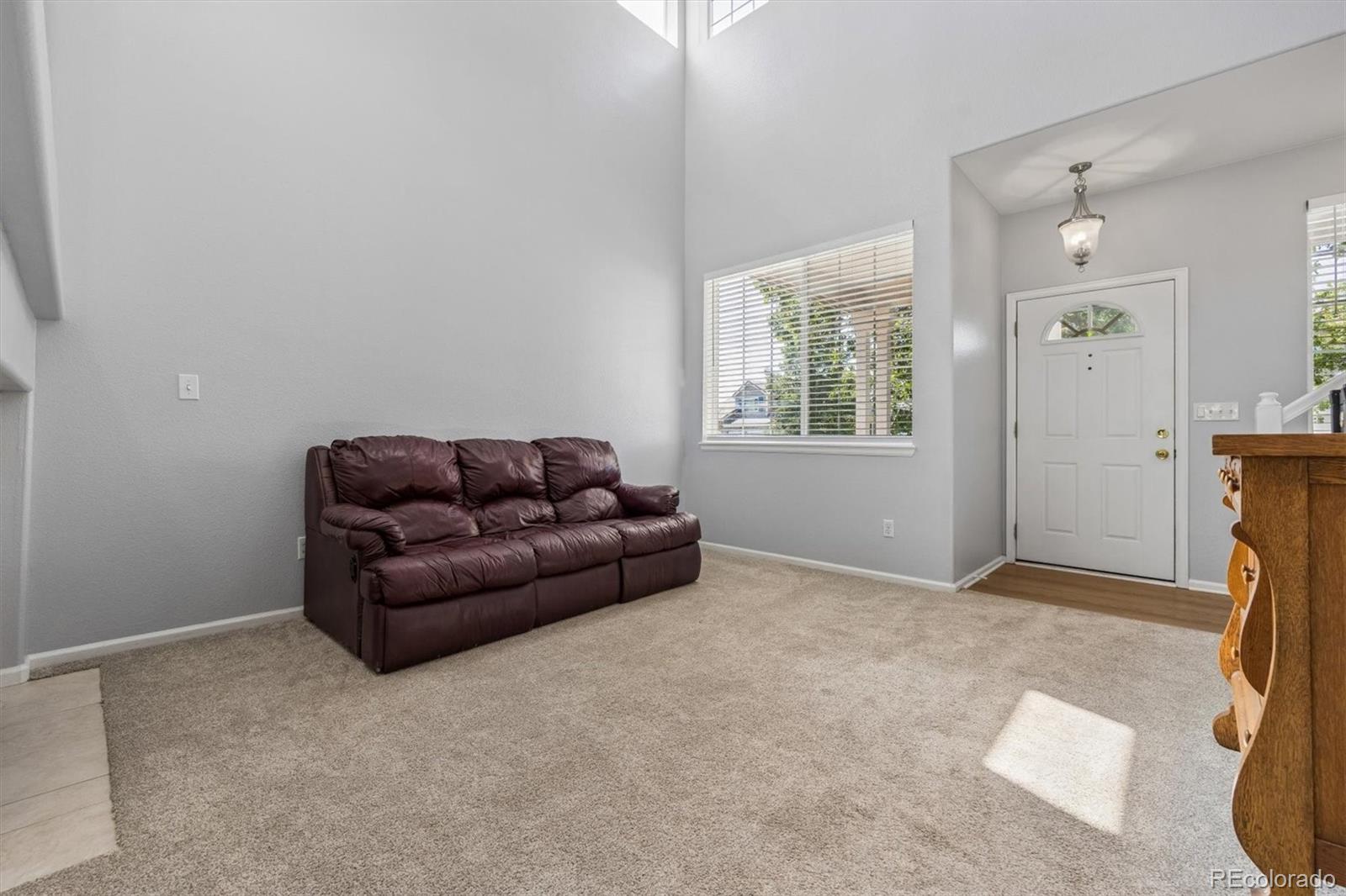 MLS Image #15 for 10314  tracewood drive,littleton, Colorado