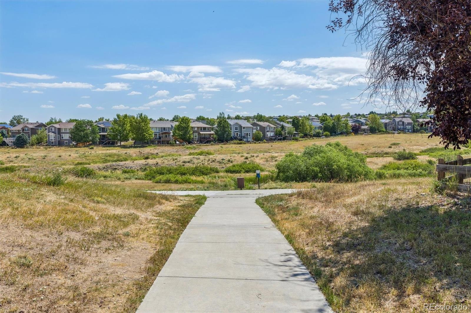 MLS Image #32 for 10314  tracewood drive,littleton, Colorado