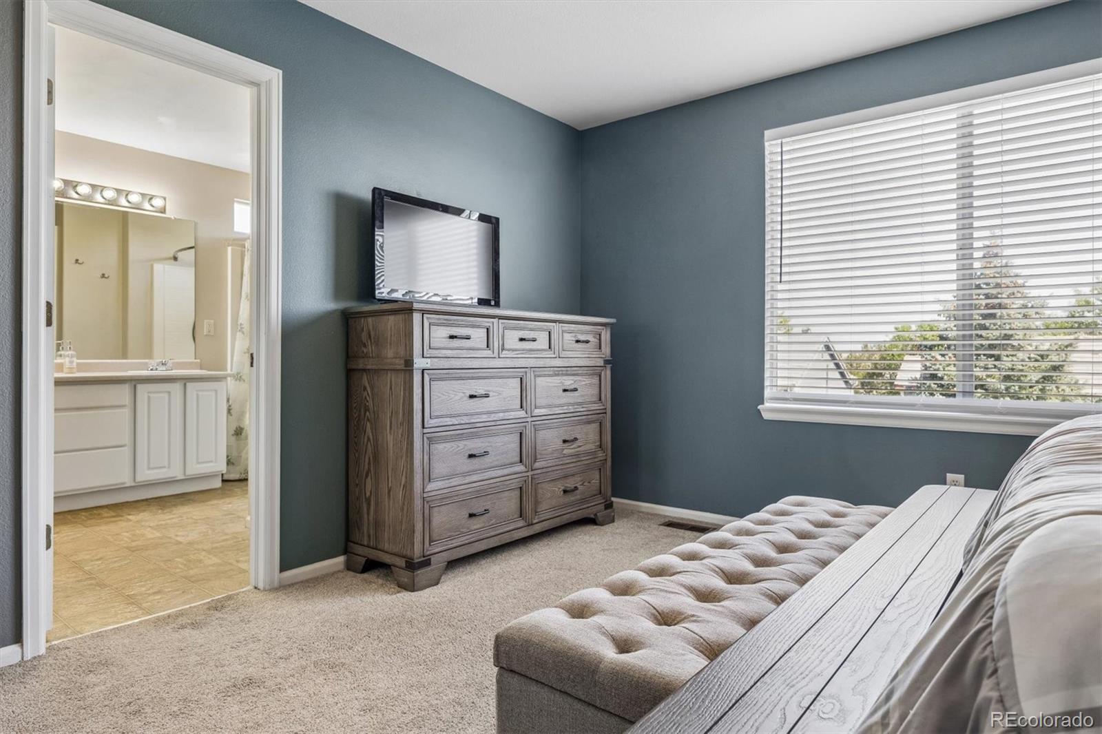 MLS Image #6 for 10314  tracewood drive,littleton, Colorado